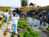 ivochy sa mu zachyti aj na skalch a brehu pri vytekan z rybnka